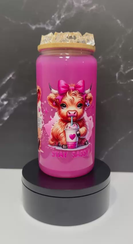 Stay Sassy—Snow Globe Tumbler